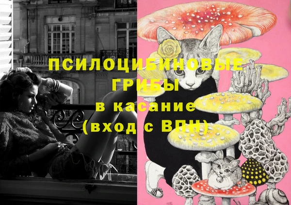 метамфетамин Богданович