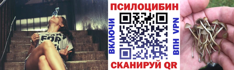 Галлюциногенные грибы мухоморы  Купить  Салаир 